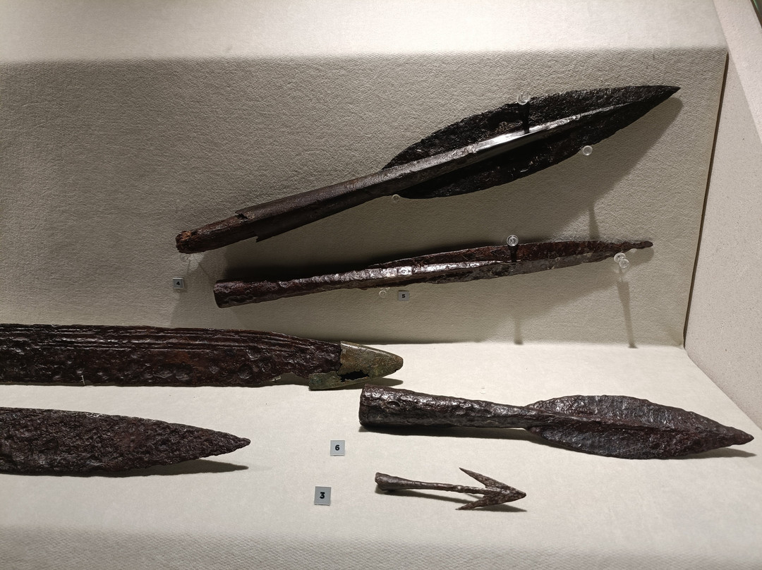 Museo Archeologico Nazionale景点图片