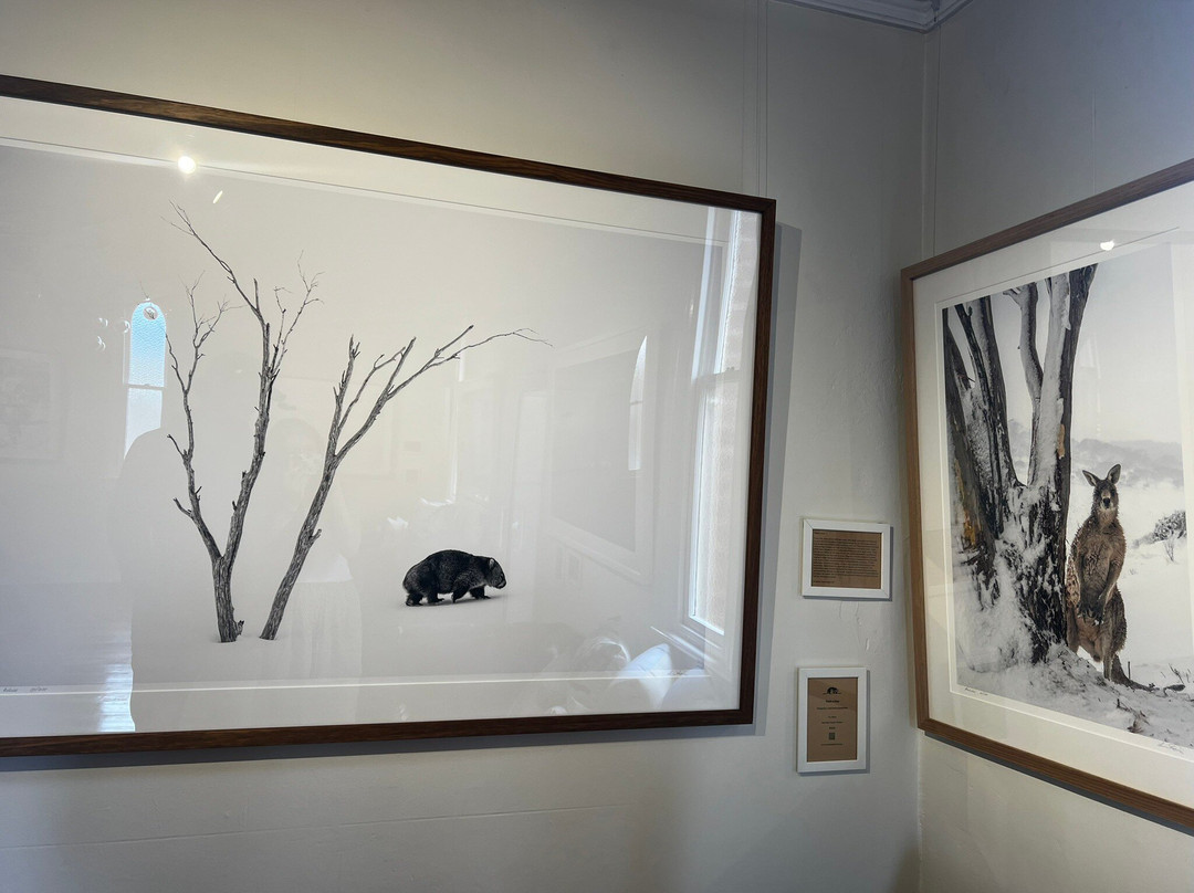 Charles Davis Photography Gallery景点图片