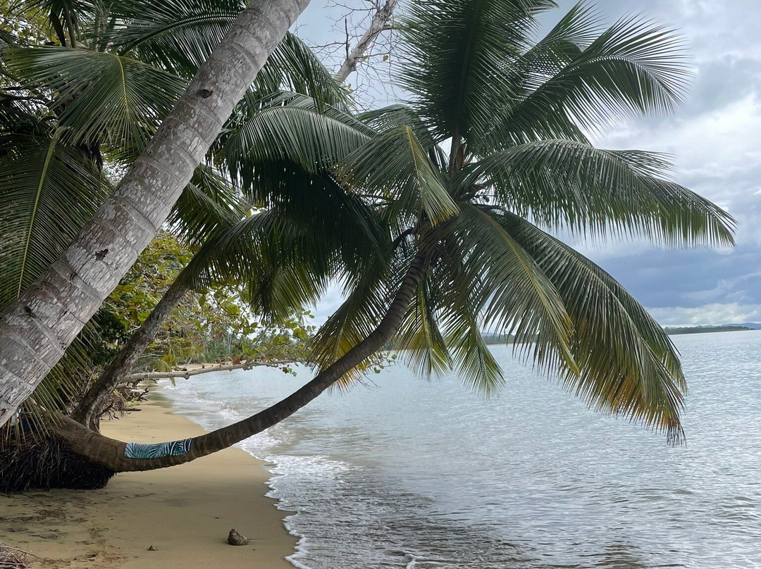 Parque Nacional Tres Hermanos-Anasco必去景点
