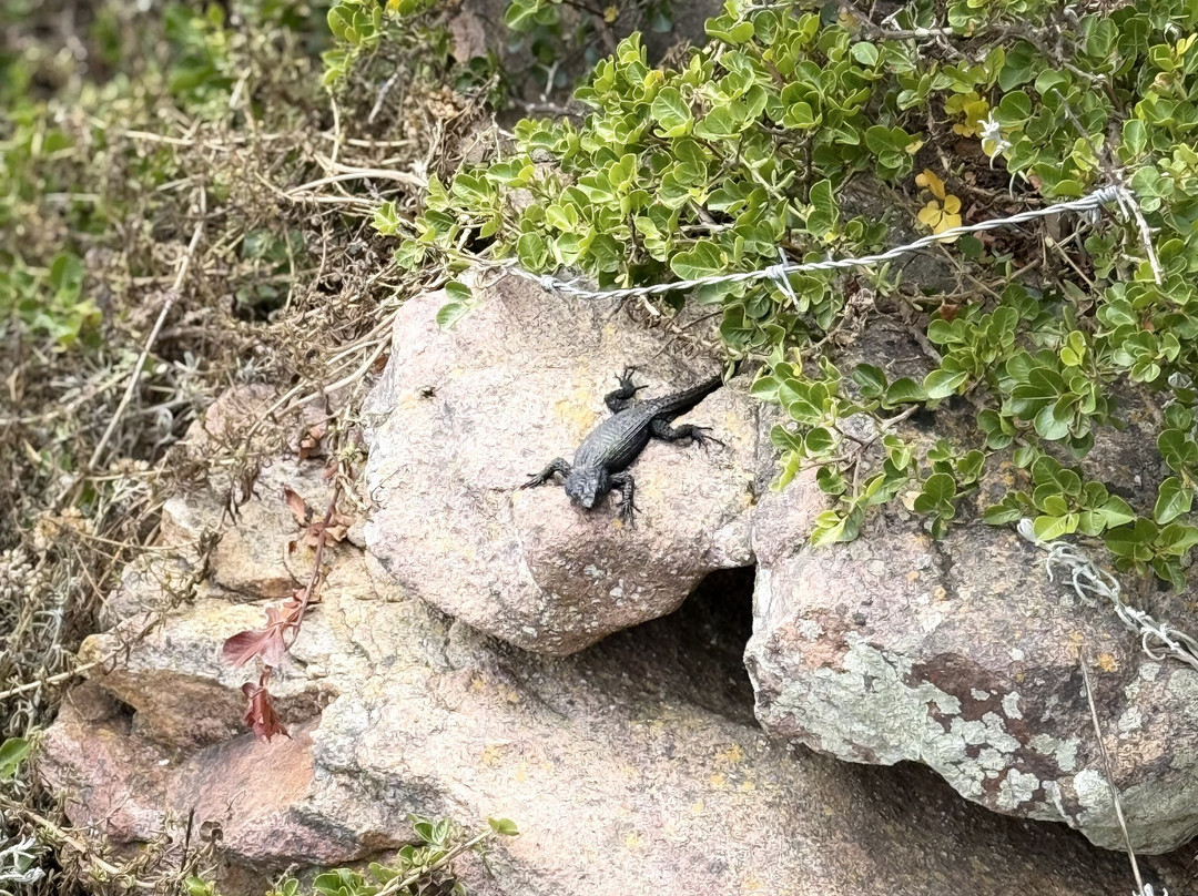 A Taste of Cape Town-斯泰伦博斯必去景点