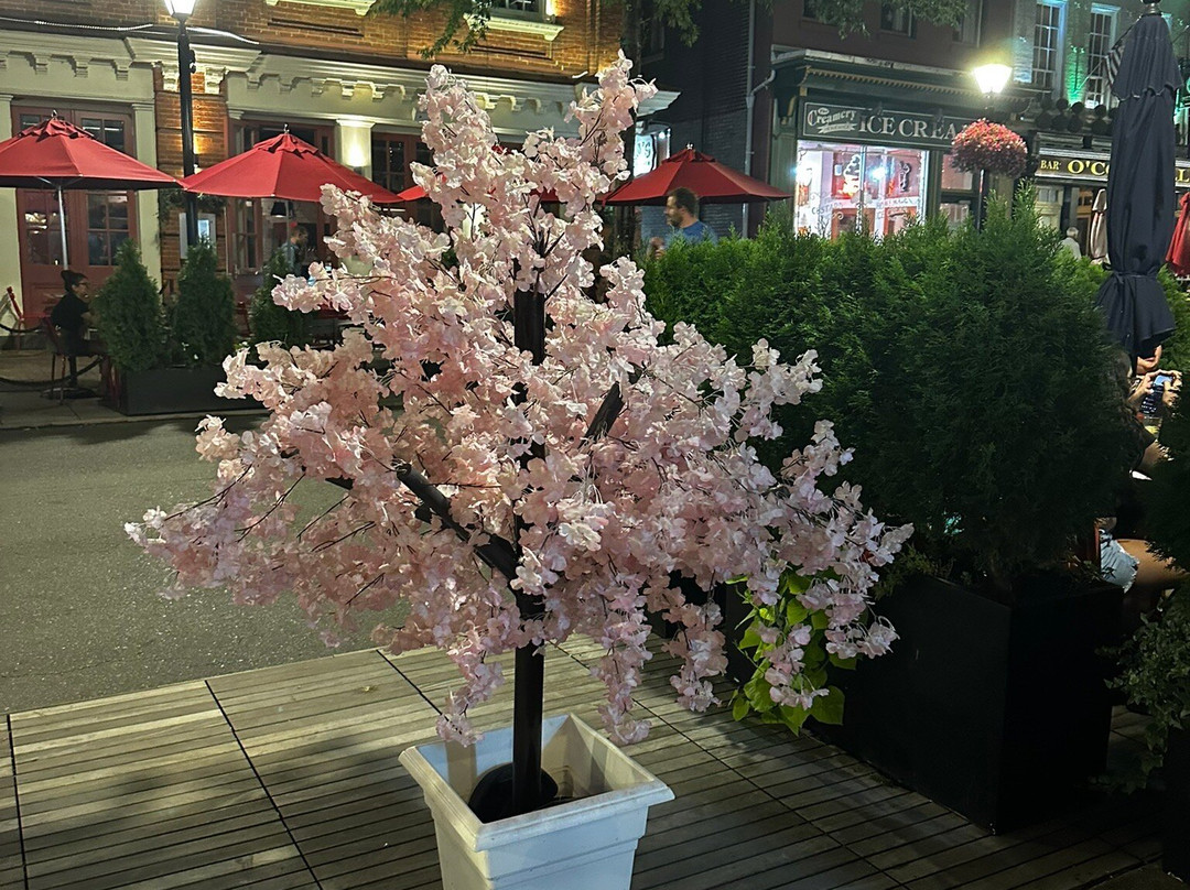 Old Town Alexandria Waterfront-亚历山德里亚必去景点