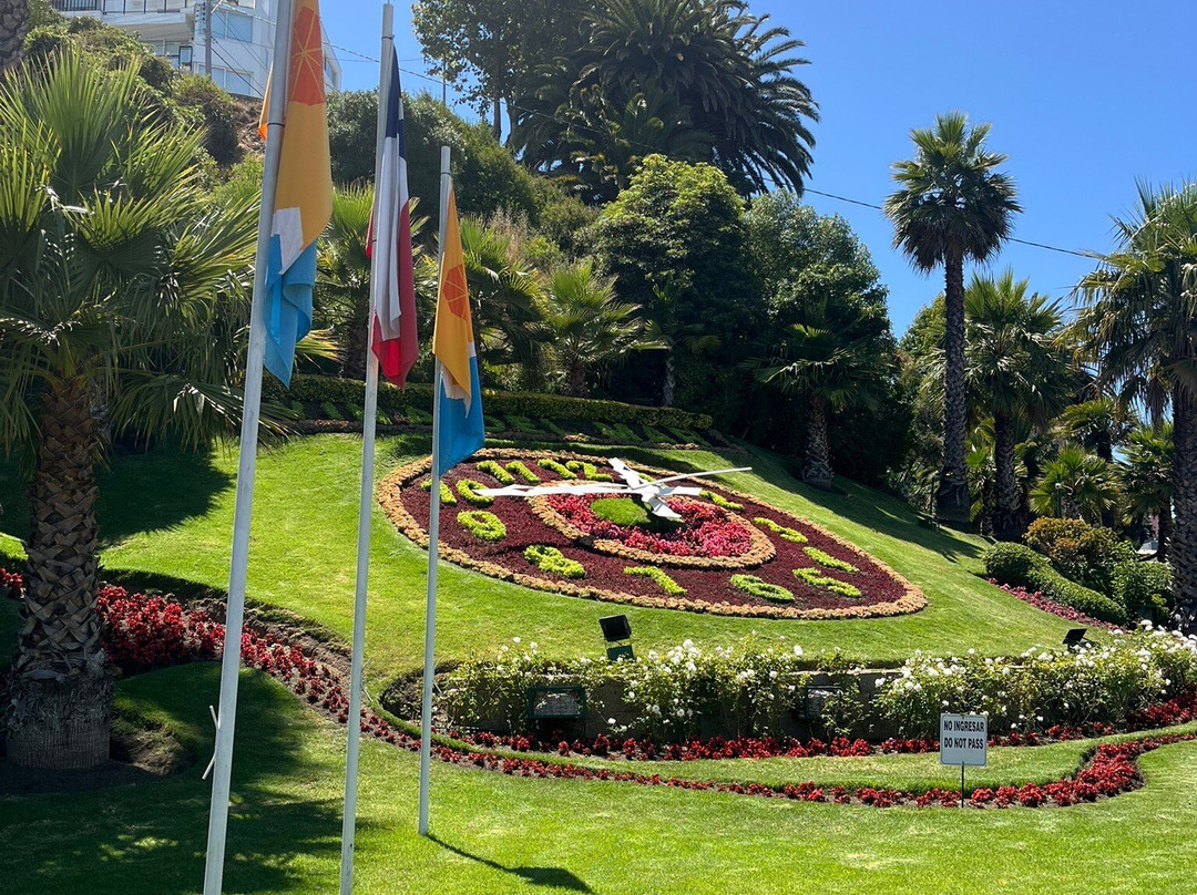 Flower Clock (Reloj de Flores)-比尼亚德尔马必去景点