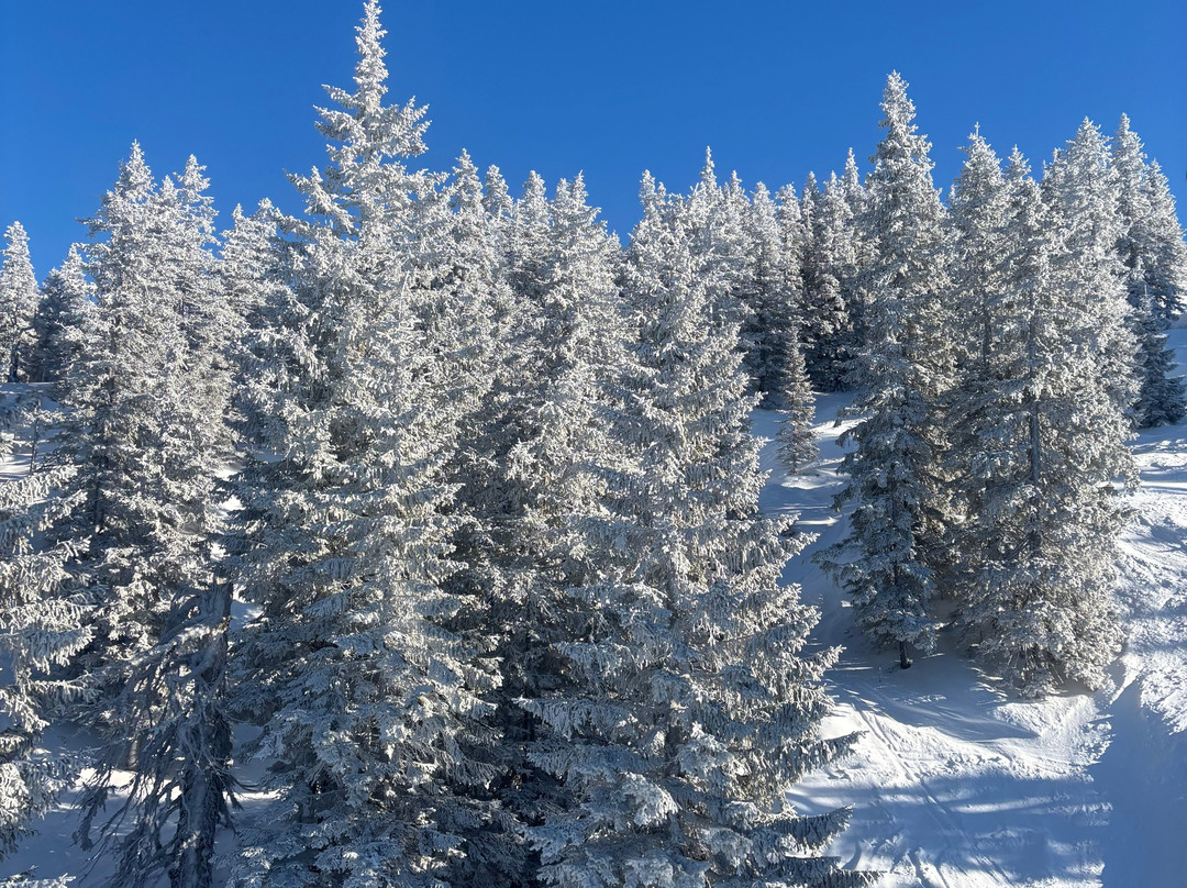 Aldiana Club Hochkonig主图