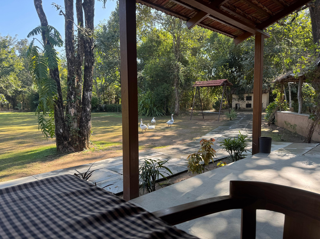 Mahua Vann Pench主图