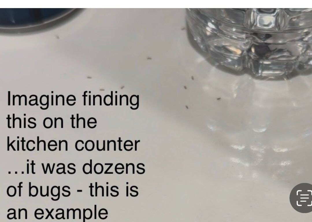 Costa Hollywood Beach Resort主图