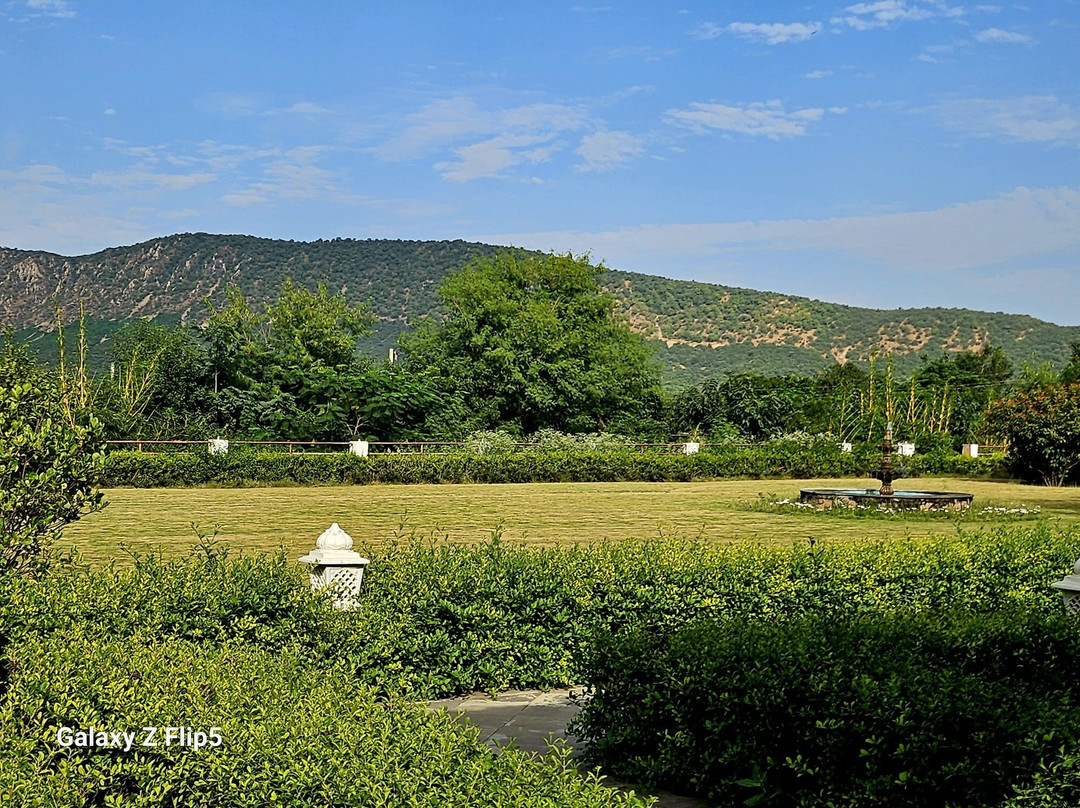 Sariska Safari Lodge主图