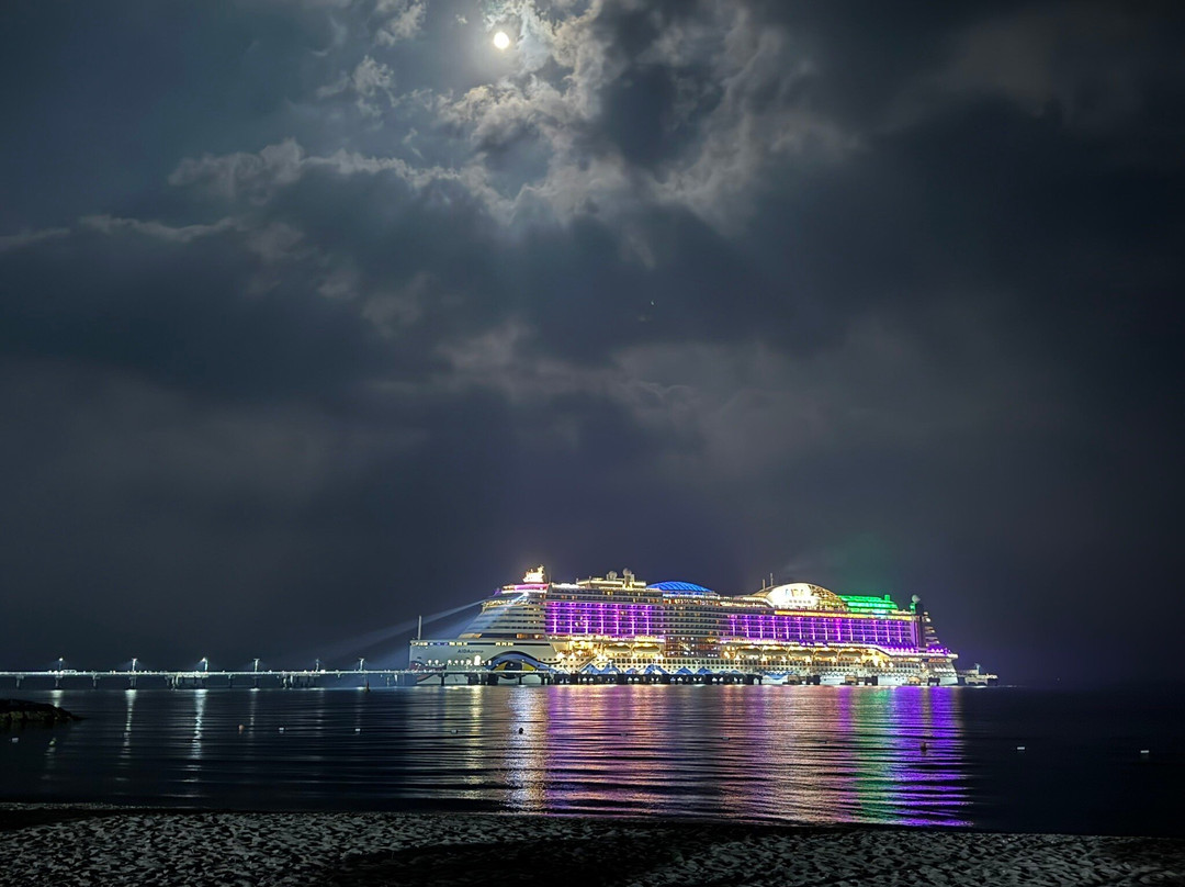 Sir Bani Yas Cruise Beach-萨巴尼亚岛必去景点