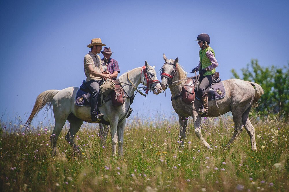 Count Kálnoky's Riding Holidays景点图片