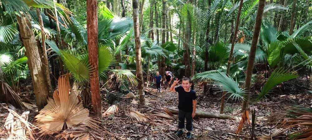 Endau Rompin National Park-柔佛必去景点