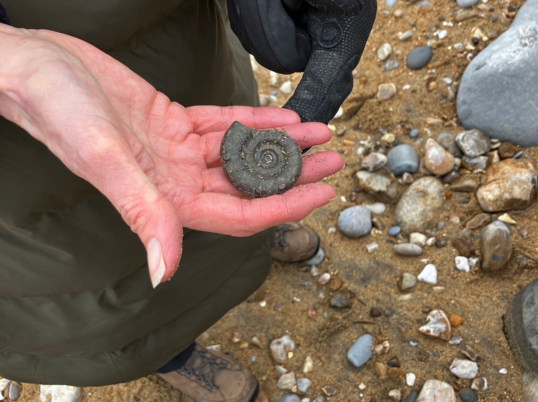 Jurassic Coast Guides景点图片