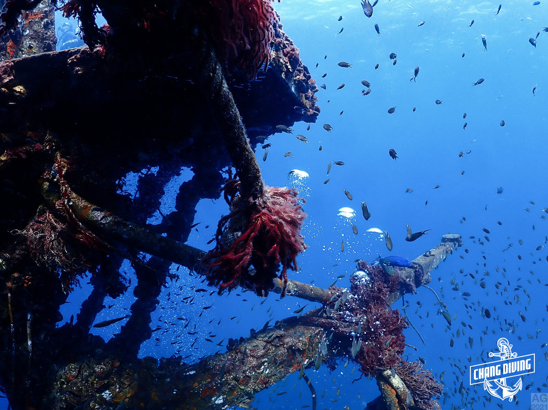 Chang Diving Center景点图片