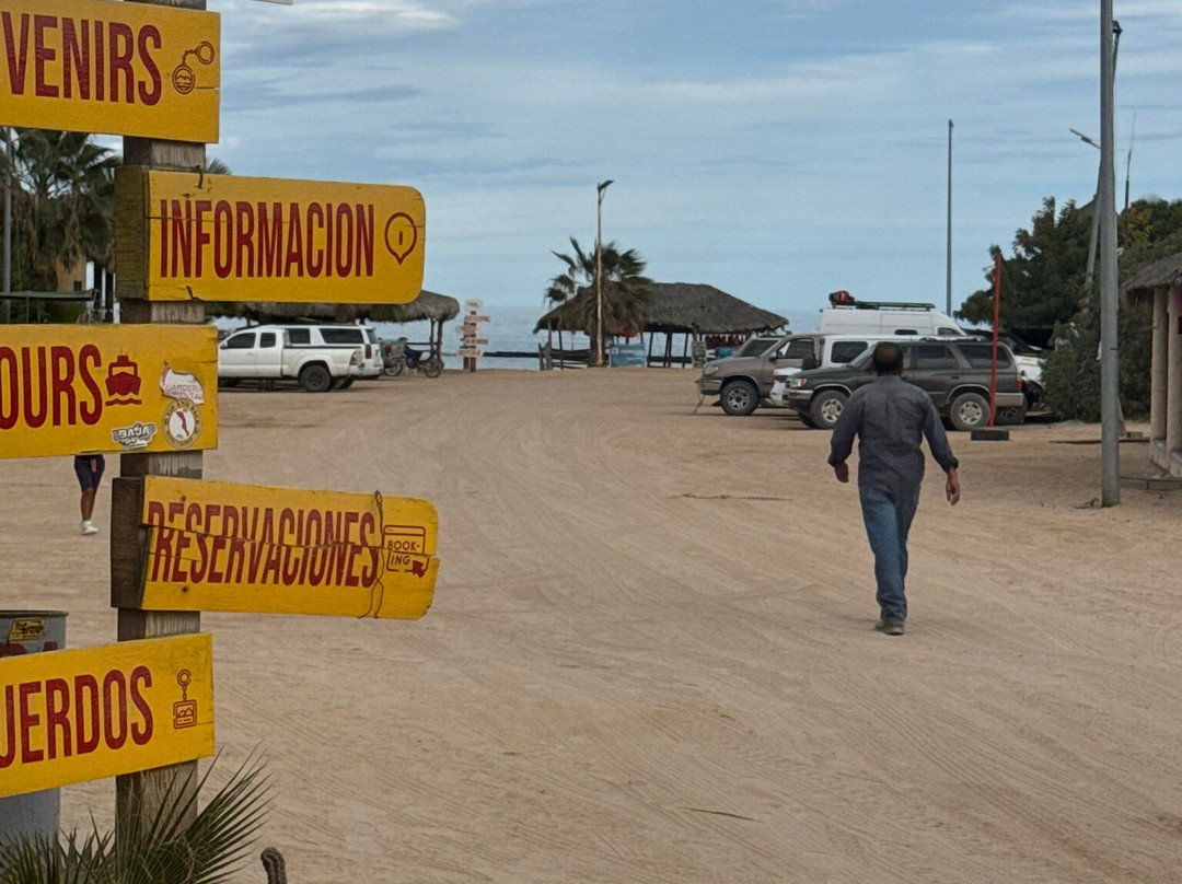 Cabo Pulmo Sports Center Bungalows主图