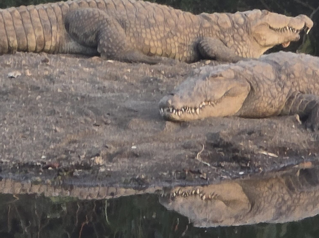 Hotel Anil Farmhouse主图