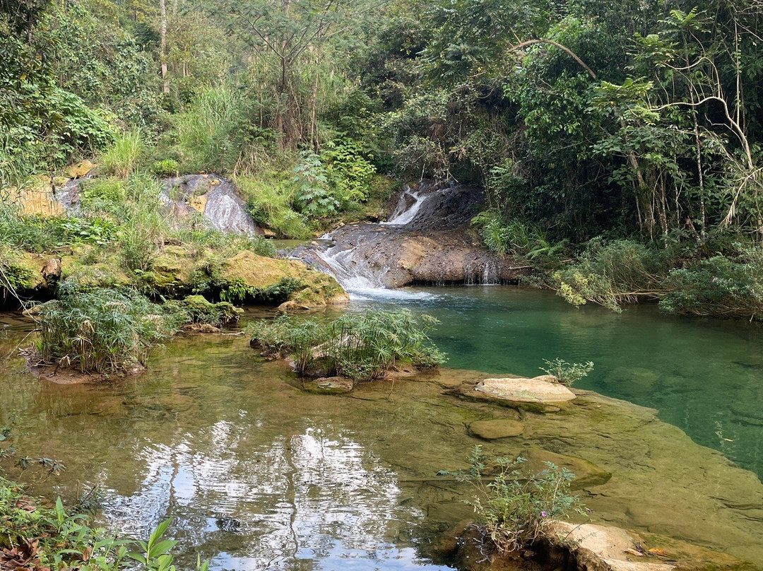 Parque Guanayara景点图片