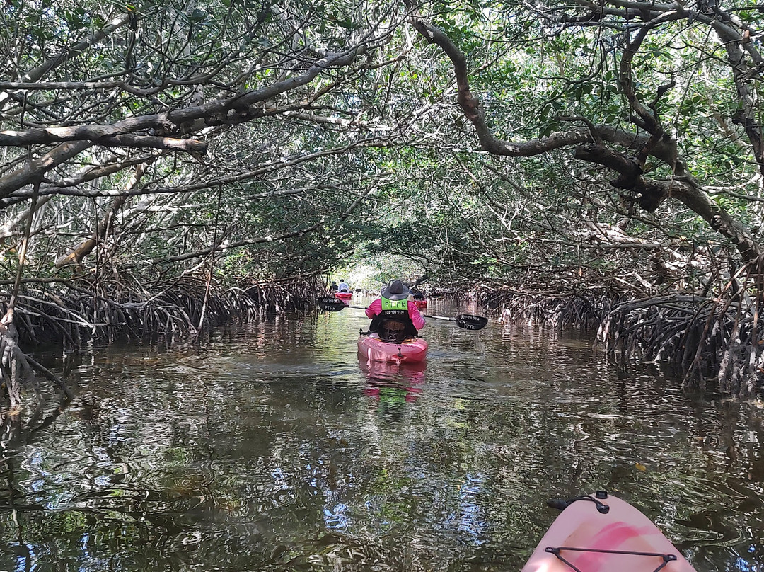 Paddle! the Florida Keys-伊斯拉摩拉达必去景点