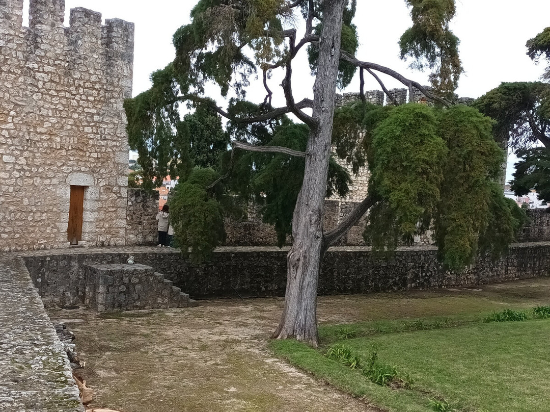 Castelo de Torres Novas景点图片