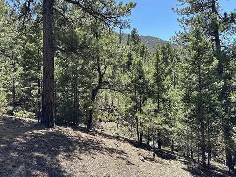 Yakalo Ranch-科罗拉多斯普林斯必去景点