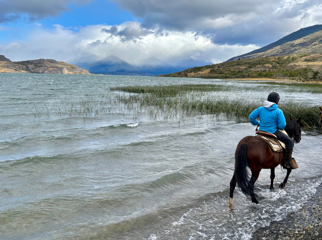 Pingo Salvaje-纳塔莱斯港必去景点