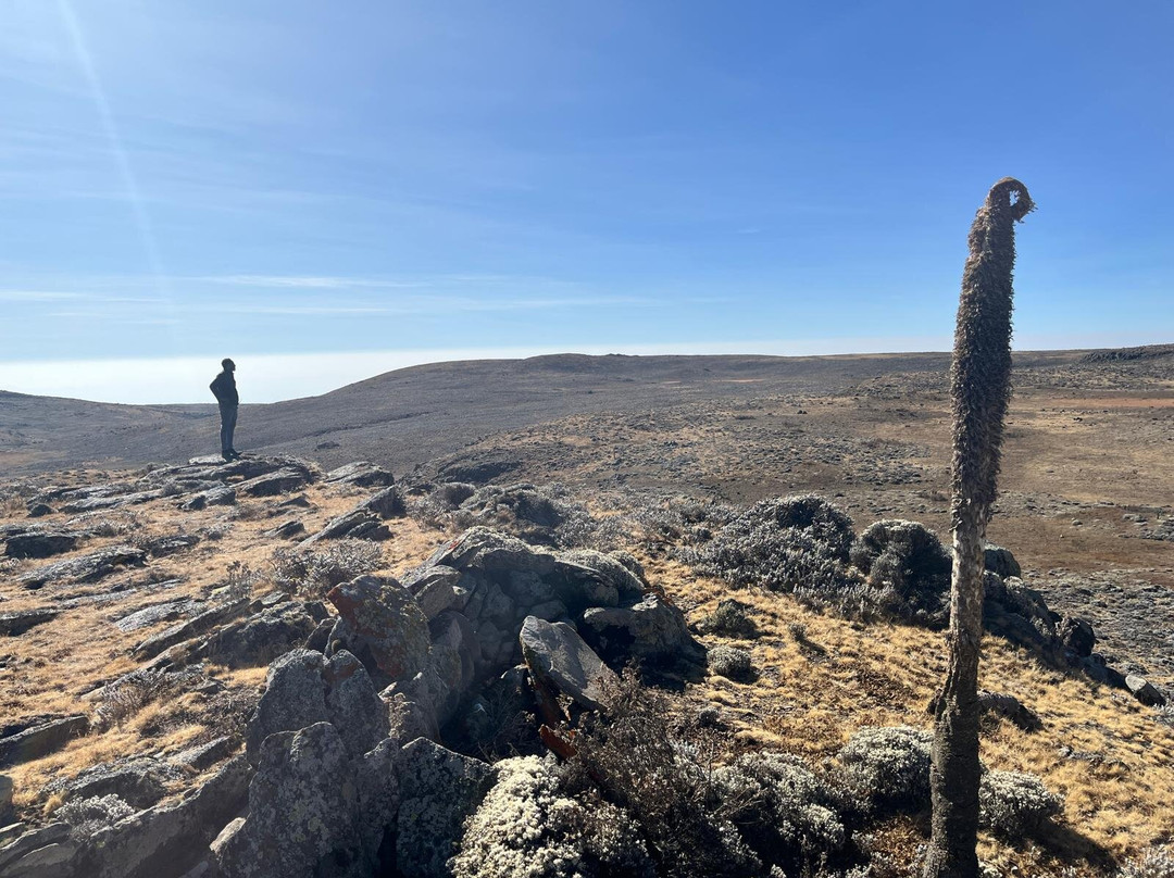 Bale Trek Ethiopia Tours景点图片