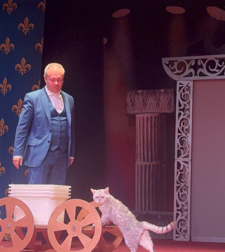 Kuklachyov's Cats Theatre-莫斯科必去景点