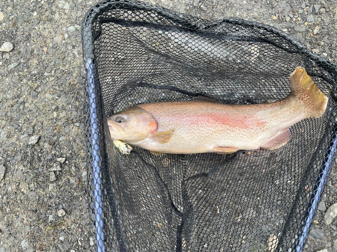 Birchwood Fishery