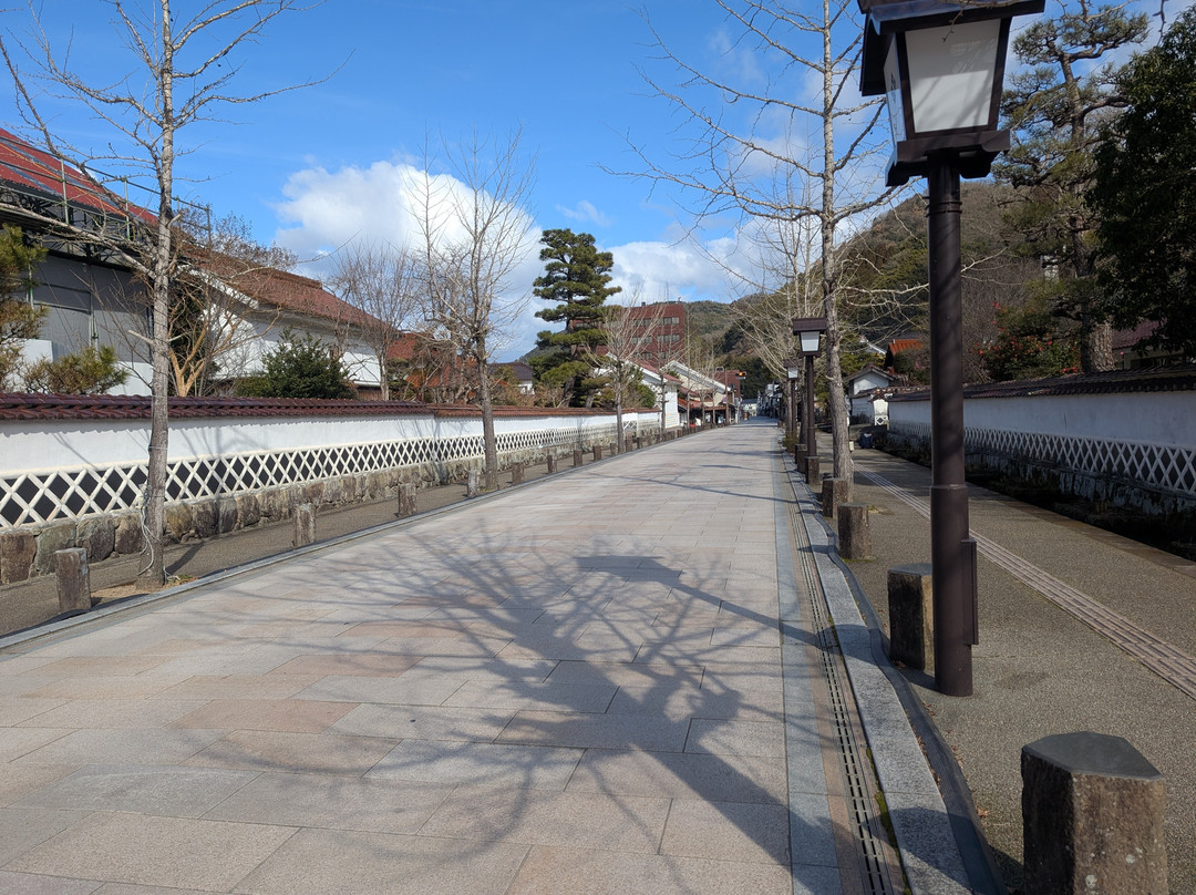 Tonomachi Street-津和野町必去景点