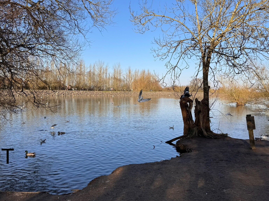 Daventry Country Park-达文特里必去景点