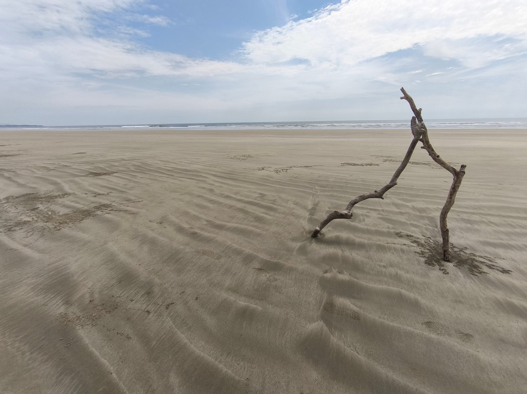 La Colina Pura Vista主图