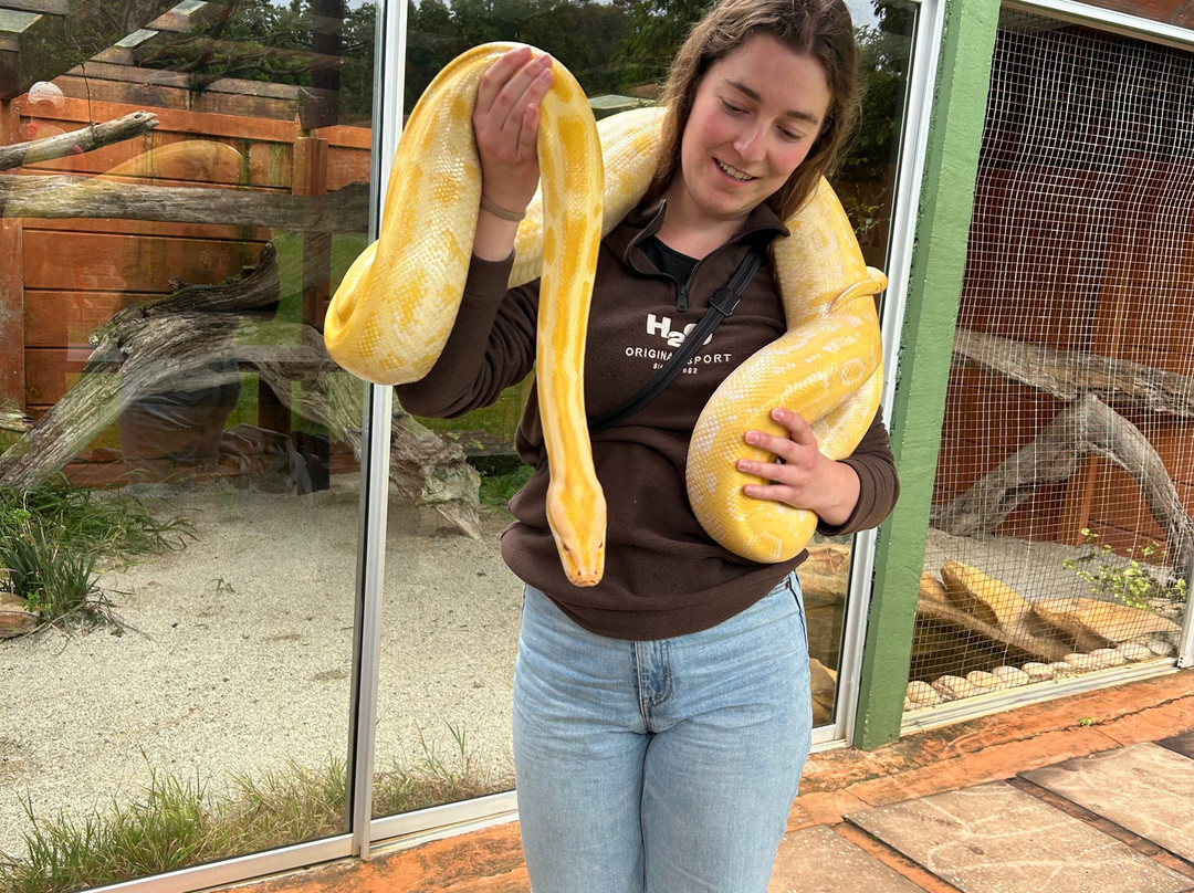 Lawnwood Snake Sanctuary-The Crags必去景点