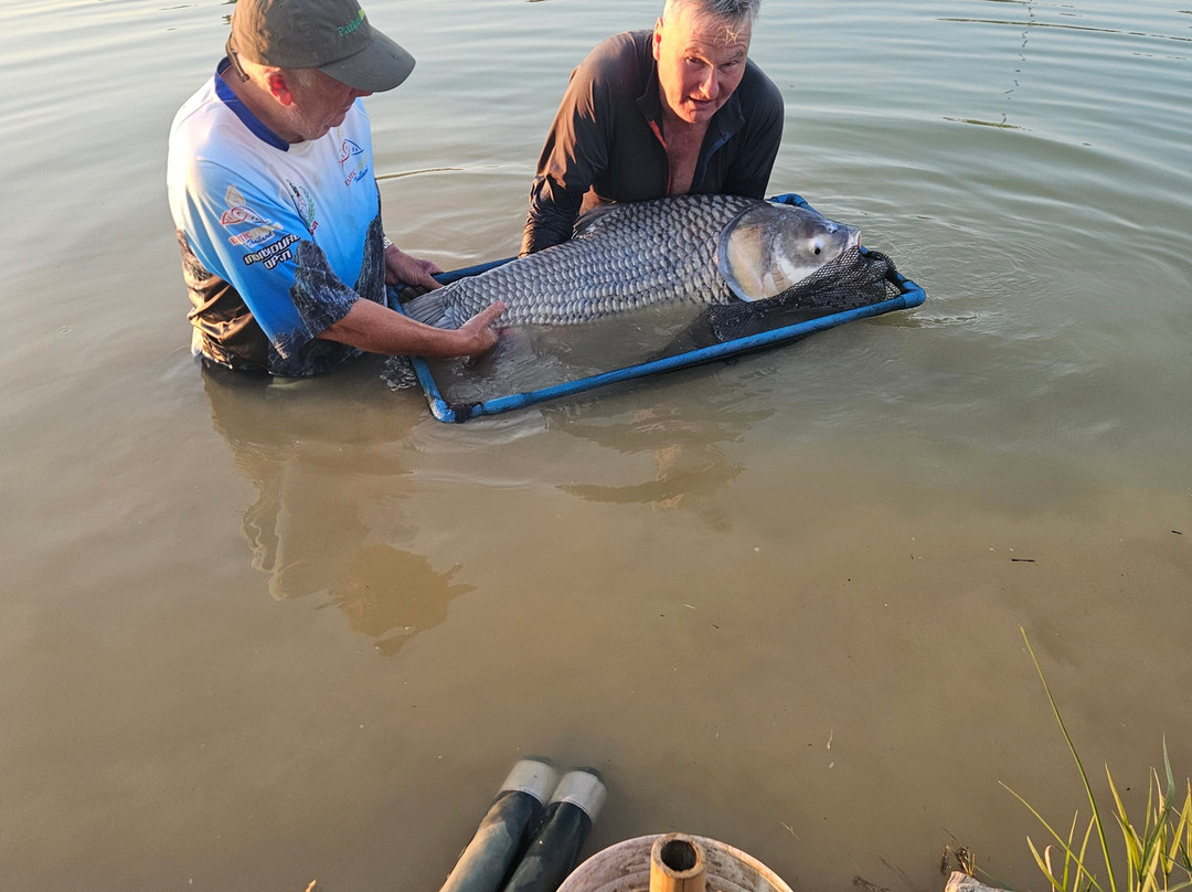 Maybreeze Fishery-加拉信必去景点