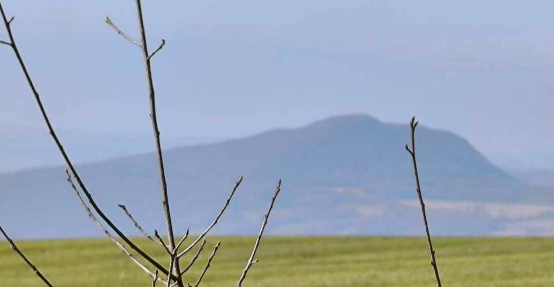 Parcours Santé De Choisy-Choisy必去景点