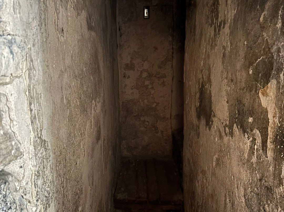 Morrin Centre景点图片