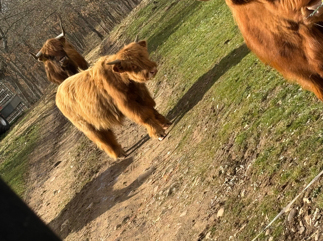 Paleolitico Vivo-布尔戈斯省必去景点