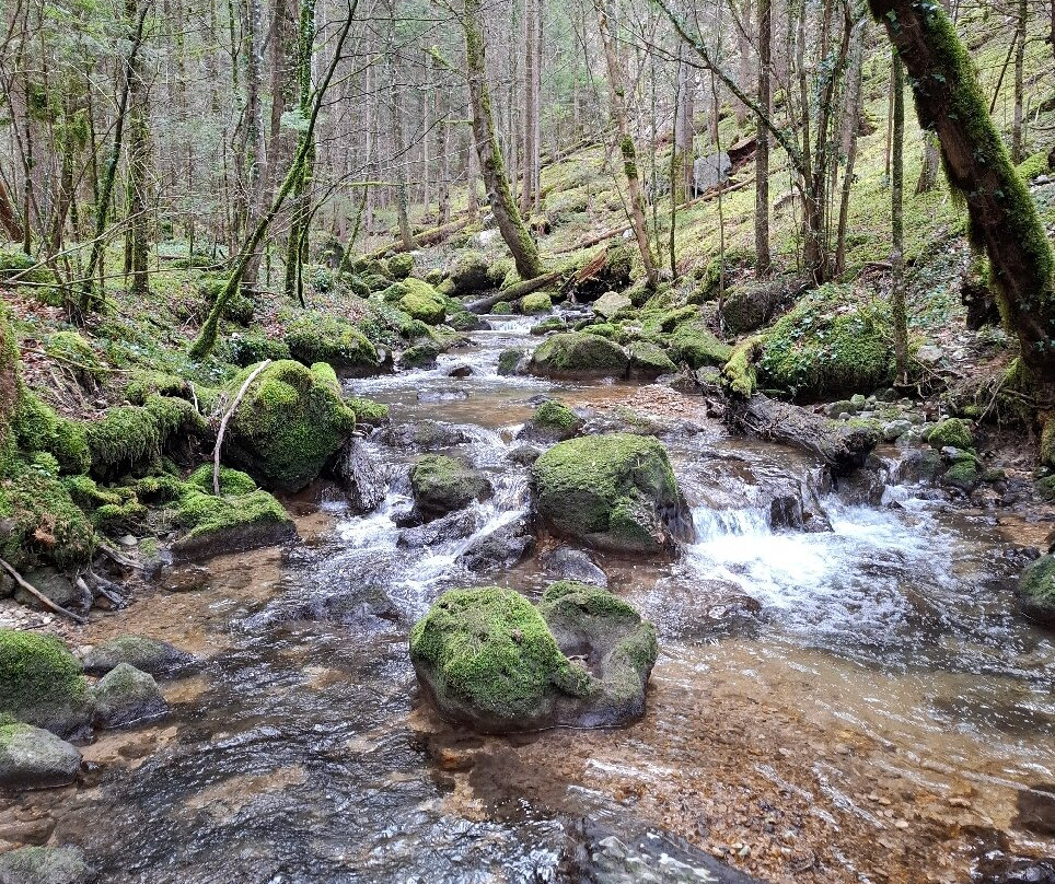 Gorges du Pichoux-Undervelier必去景点
