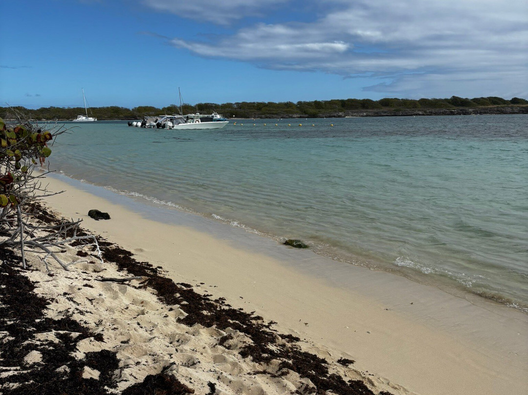 Authentique Excursion-Sainte-Anne必去景点