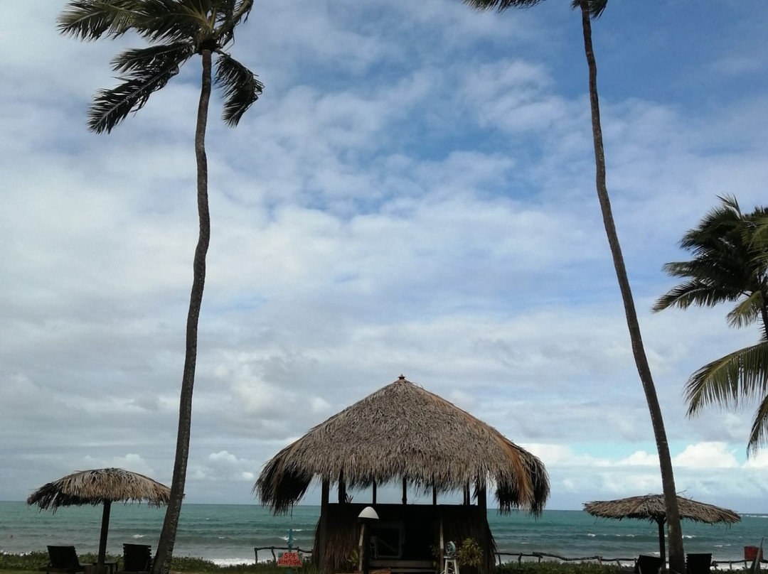 Xales de Maracaipe Pousada主图