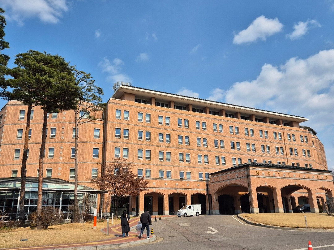 Mayfield Hotel Seoul主图