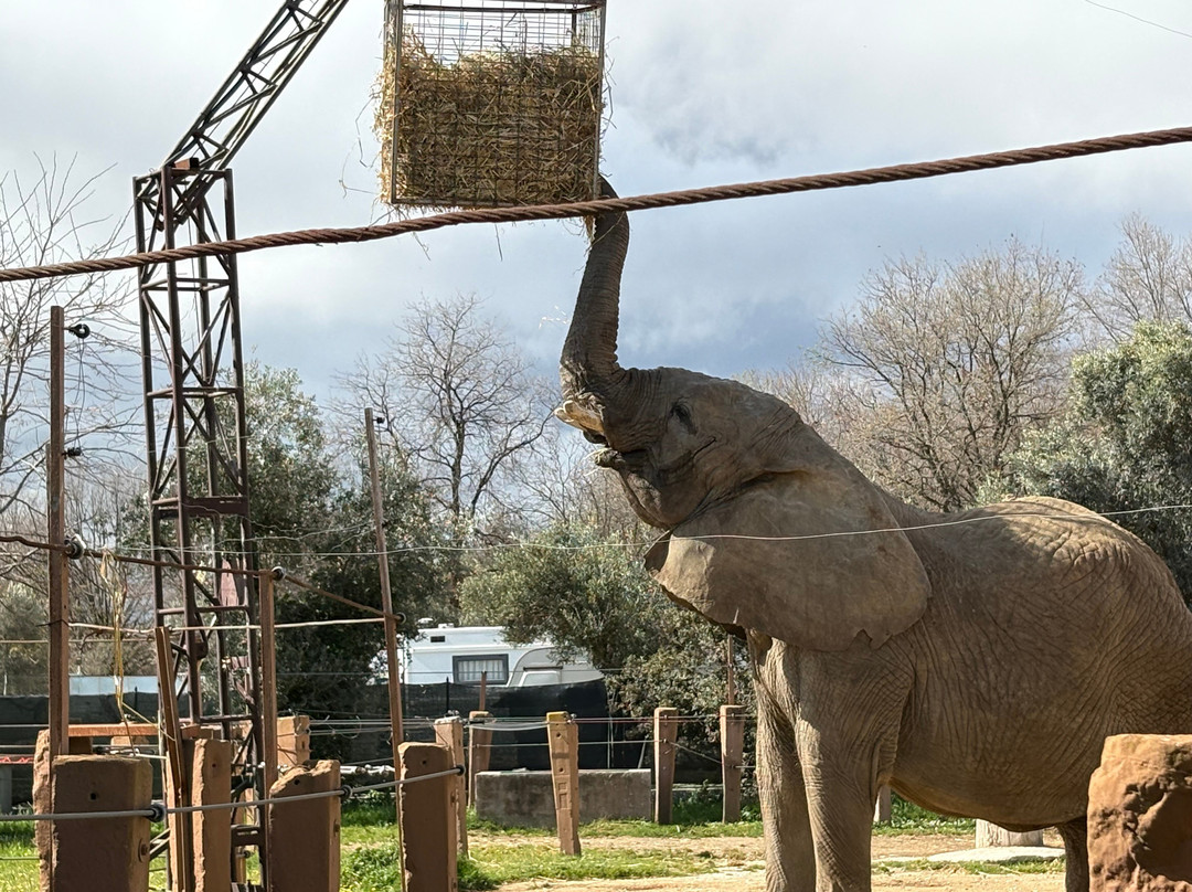 Zoo d'Abruzzo景点图片