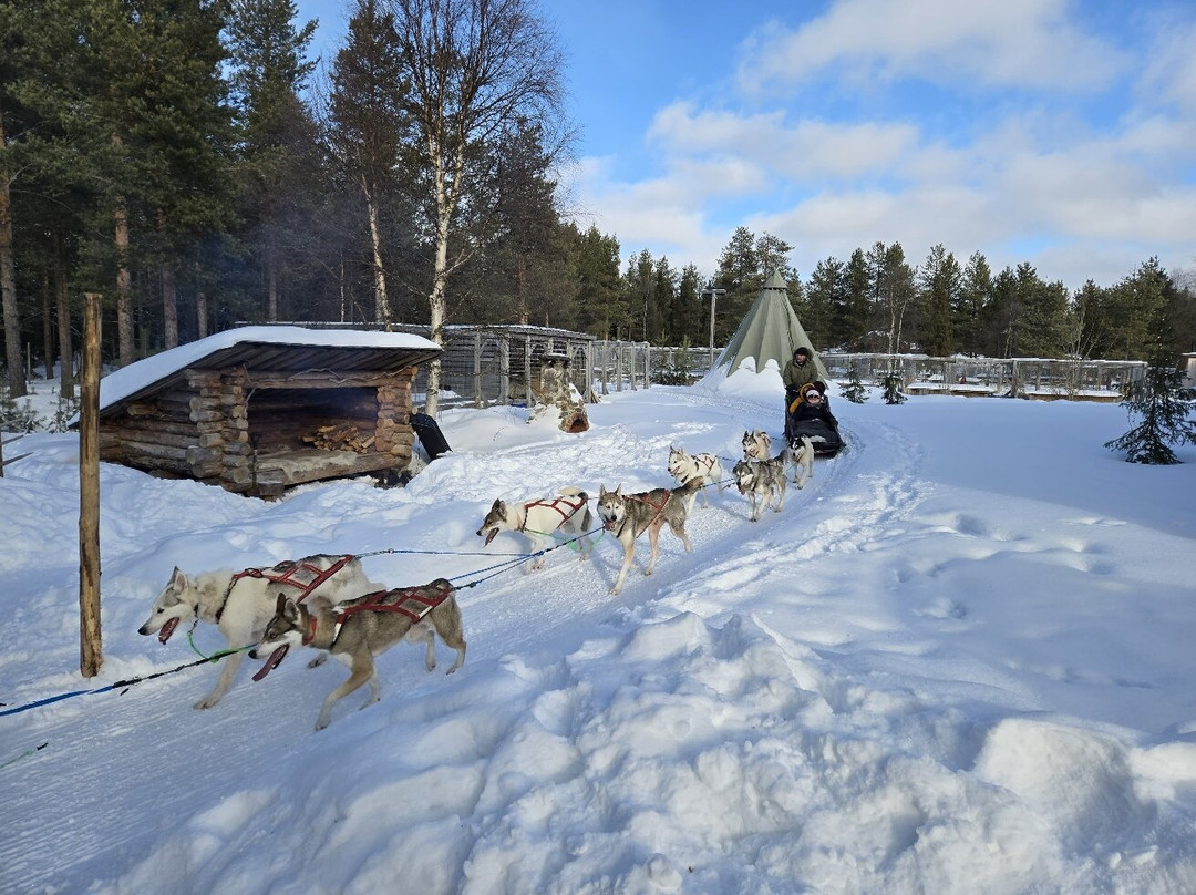 Eanan Levi Tours-Levi必去景点