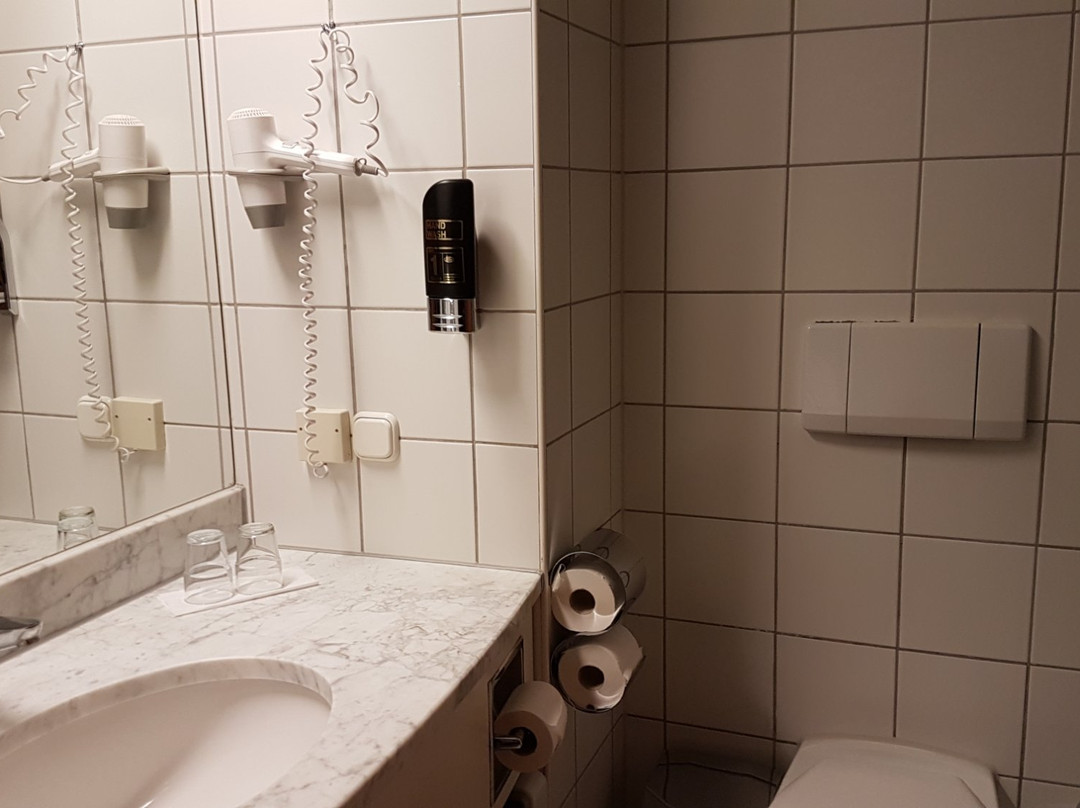Arion Cityhotel Vienna主图