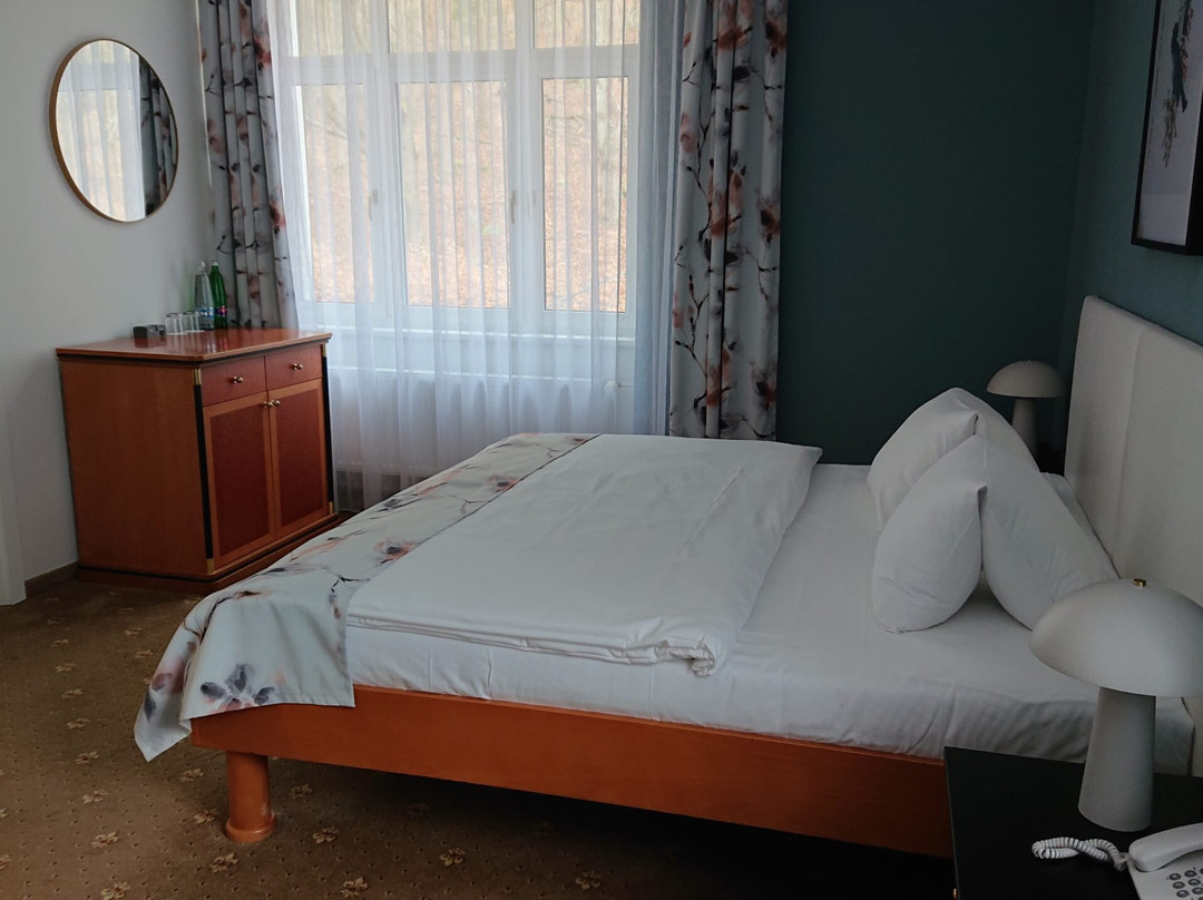 Spa Hotel Silva主图