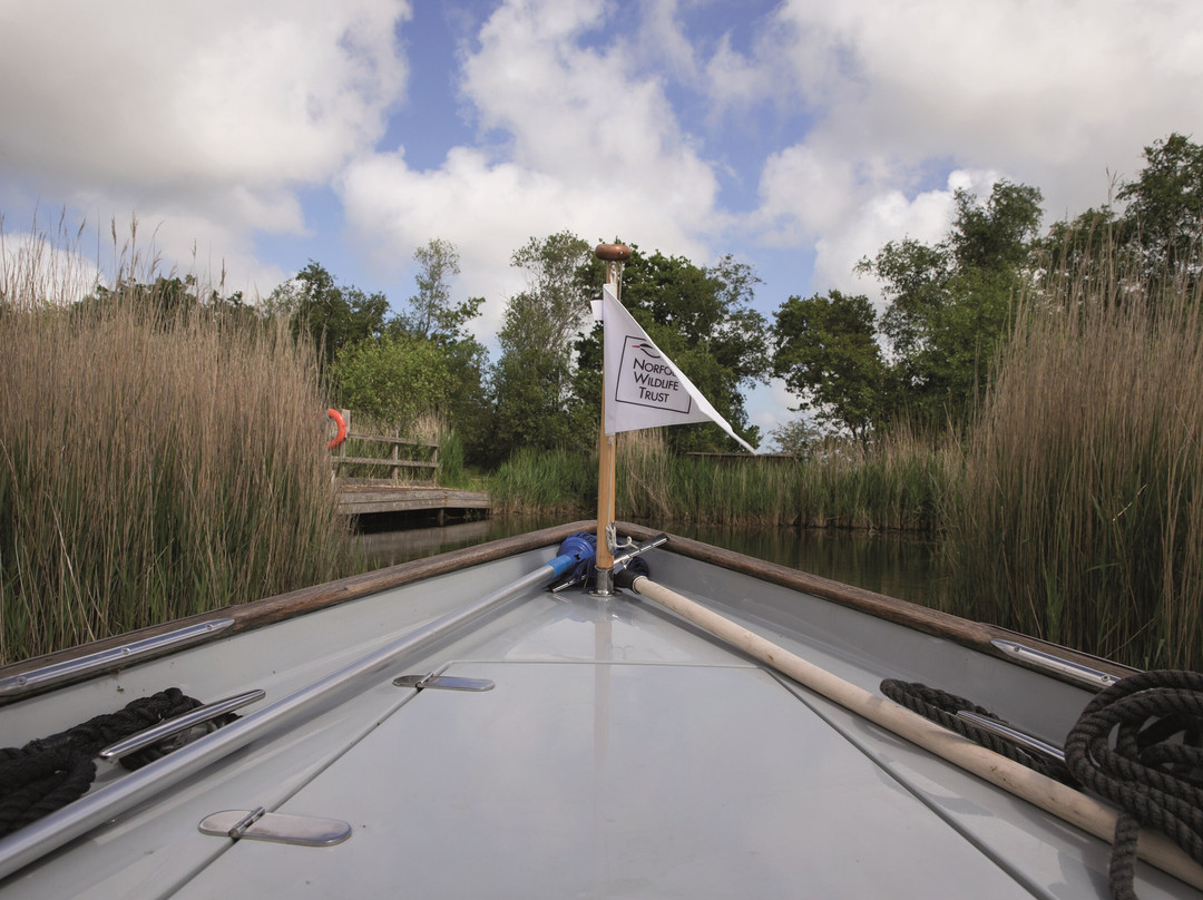 Norfolk Wildlife Trust - Wildlife Boat Trips At Hickling Broad