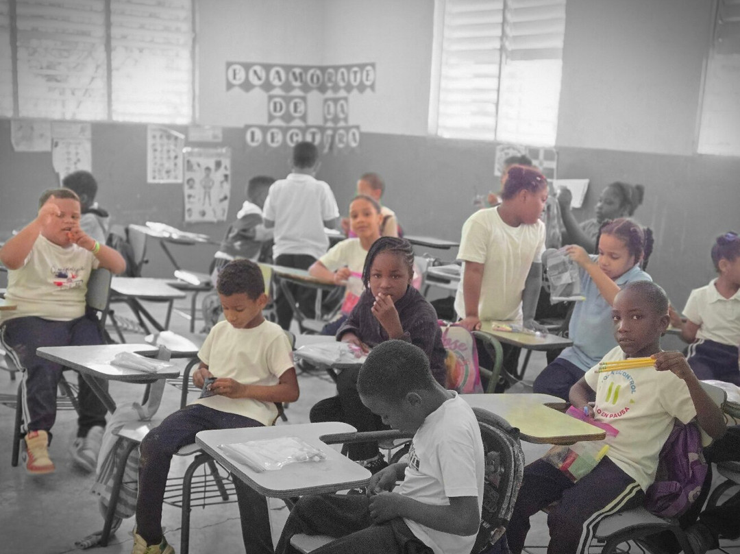 Mega Adventures-普拉塔港必去景点