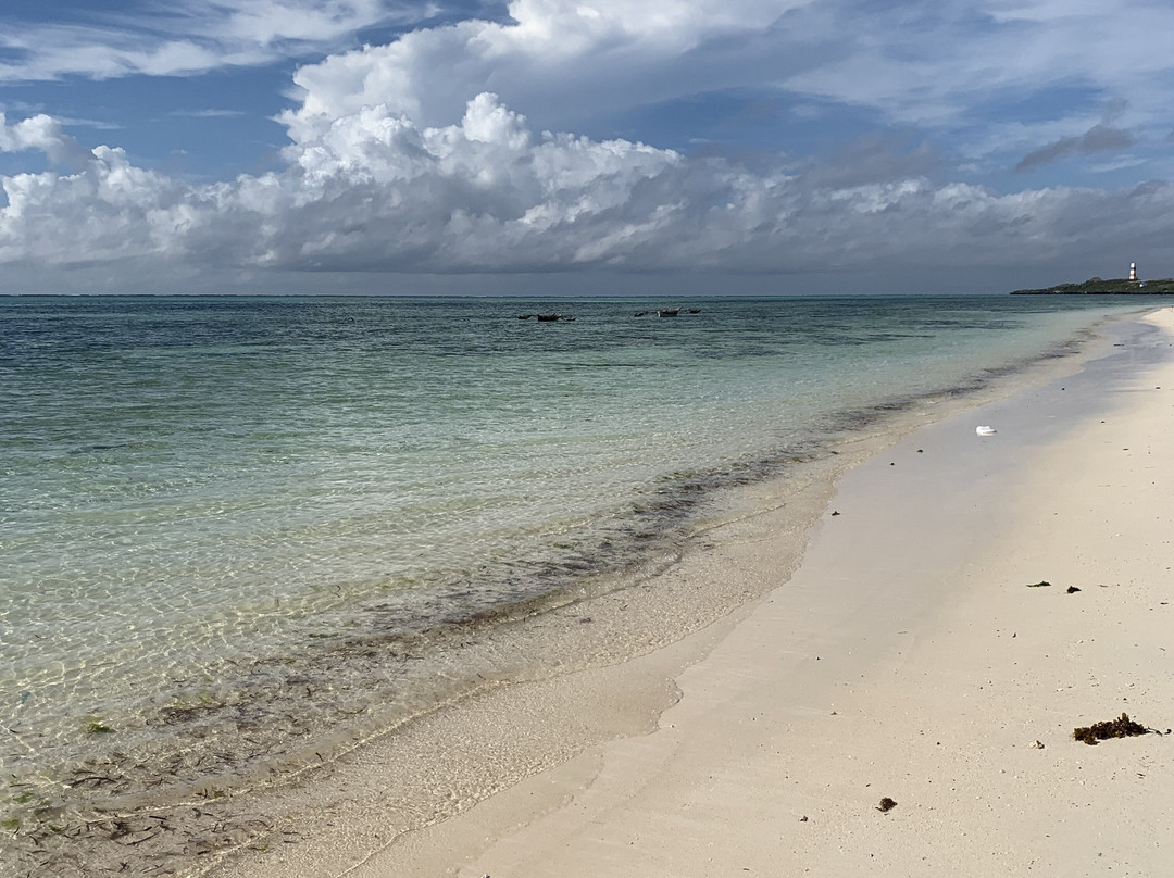 Nest Style Beach Hotel Zanzibar主图