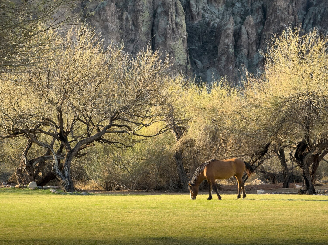 Saguaro Lake Guest Ranch主图