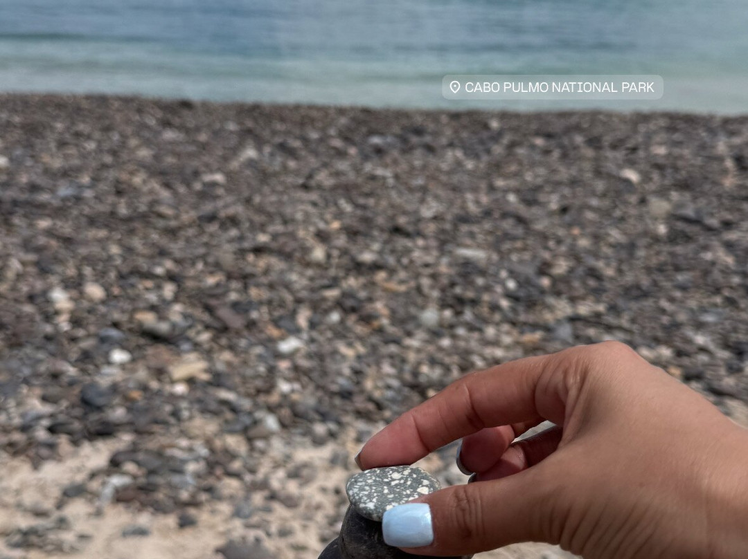 Cabo Pulmo Sport Center-Cabo Pulmo必去景点