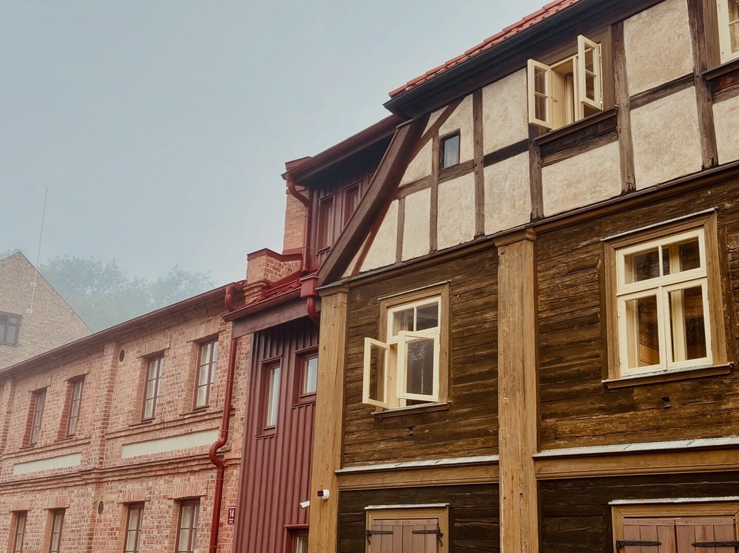Jelgava Old Town House-叶尔加瓦必去景点