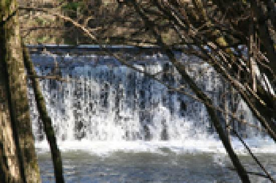 Gite Pont Vieux主图