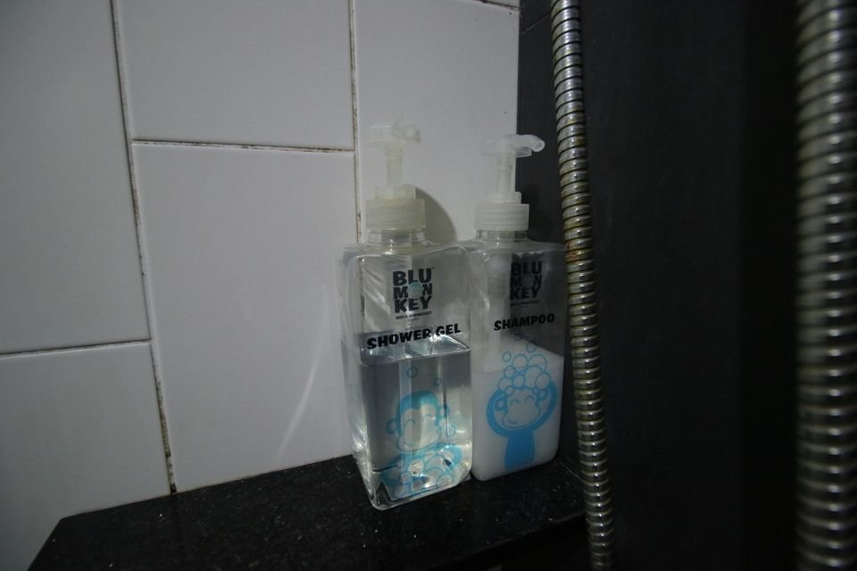 蓝猴子公寓主图