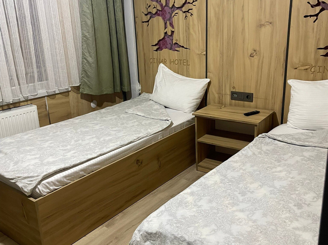 Otel Cinar